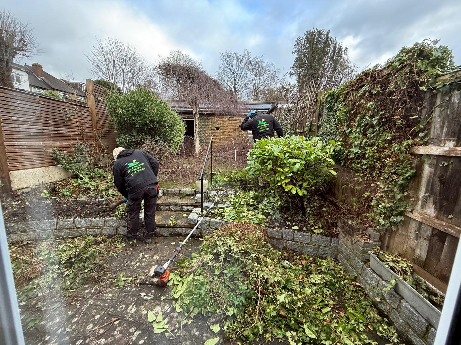 Miri Gardener in Southgate London