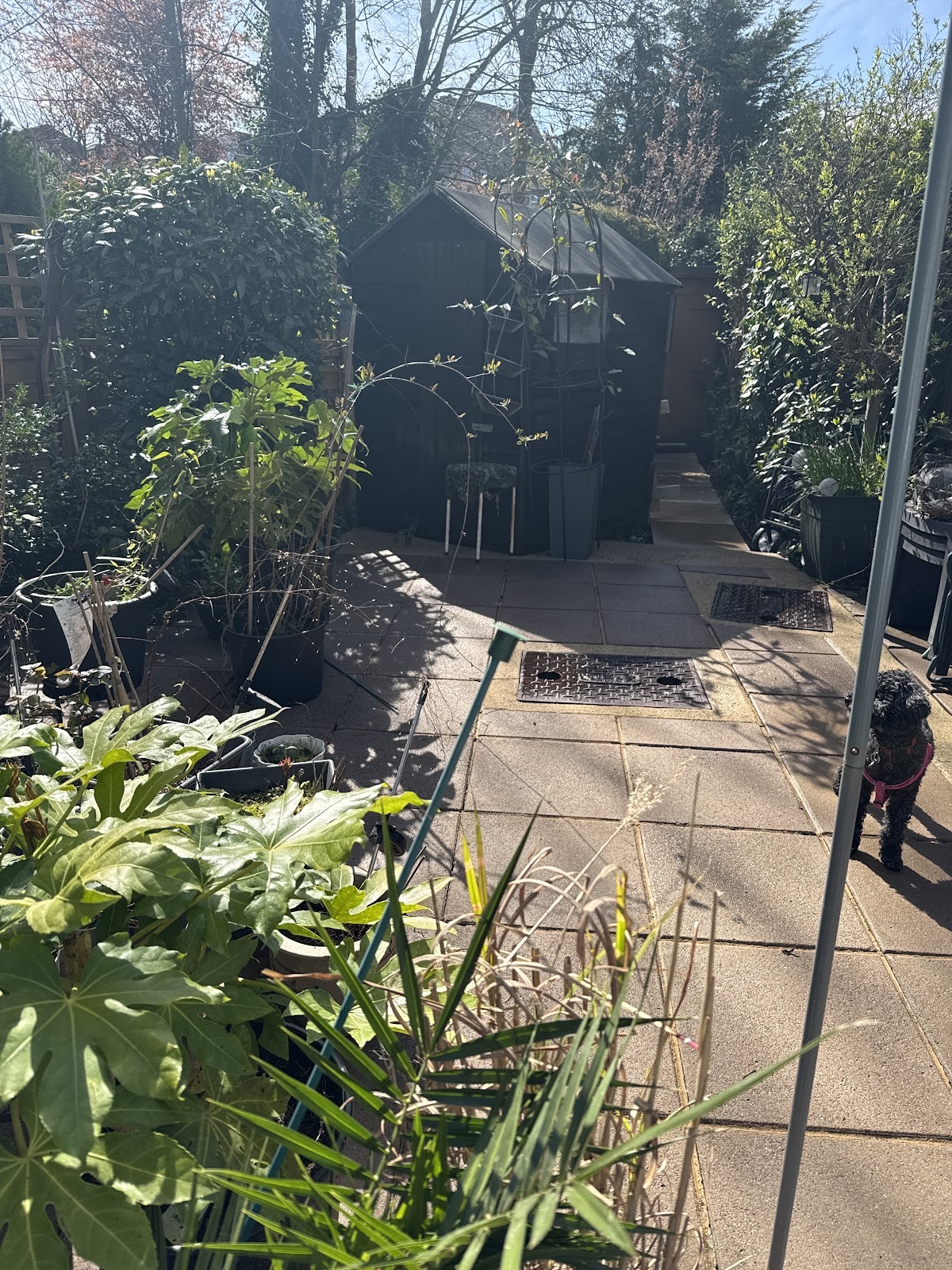 Miri Gardener in Southgate London